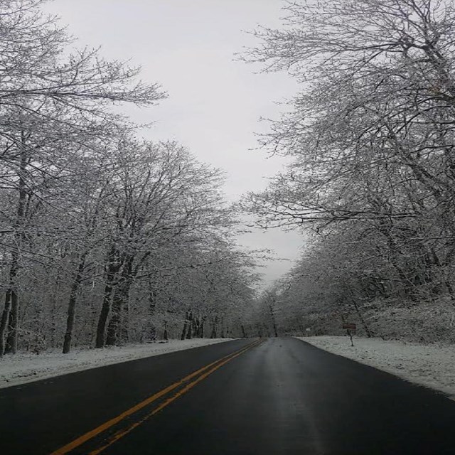 The park entrance road in the winter.