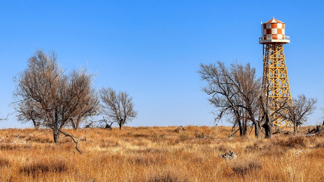 Reconstructed water tower in distance surrounded by brown shrubs and trees. 