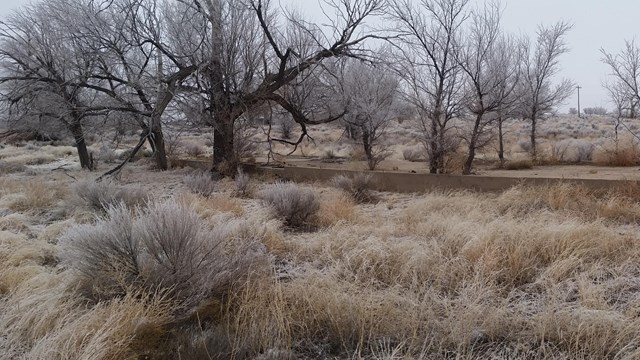 A concrete foundation surrounded by bare trees and frost-covered grass.
