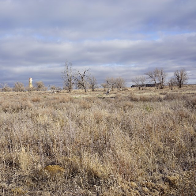 A dry, grassy field with a few buildings on the horizon