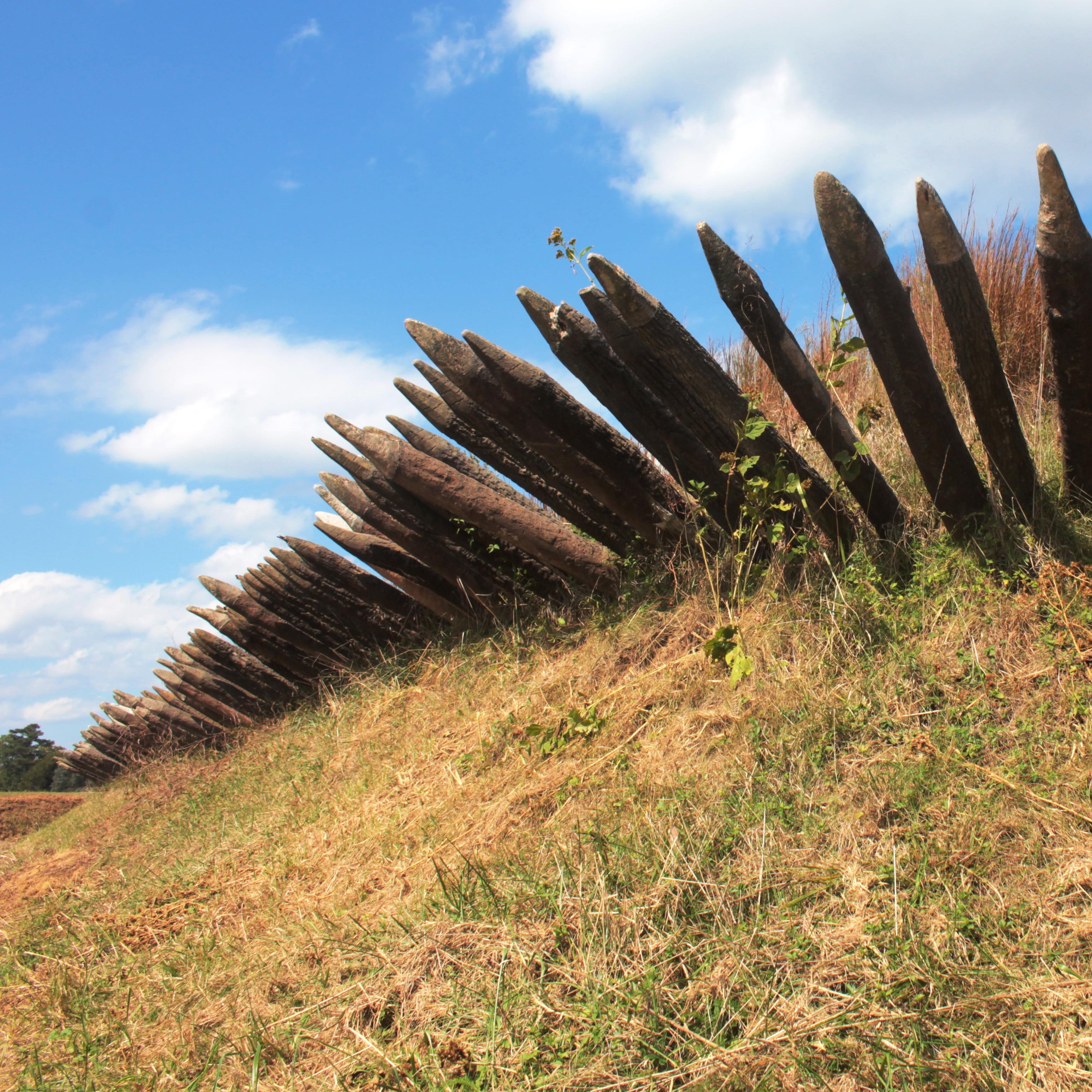 Point stakes stick out of a grass-covered earthwork
