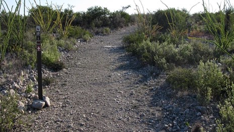 Hiking at Amistad