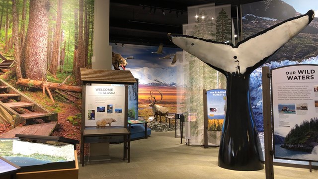 Indoors; exhibits at various heights - eye level and reaching to the ceiling.