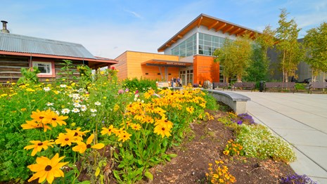 Flowers grow in a garden in front of the Fairbanks Alaska Public Lands Information Center