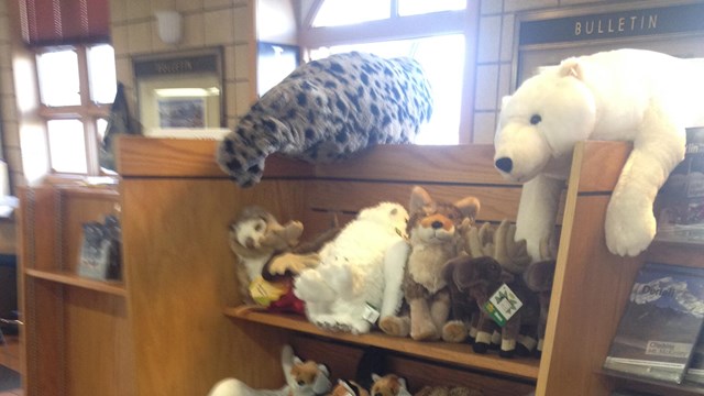 Wooden standing shelf with books and stuffed animals on it.