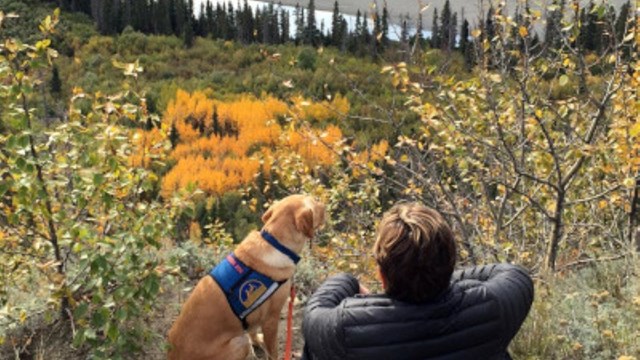 Hiker and dog sitting at top of mountain side looking down steep terrain to valley below.