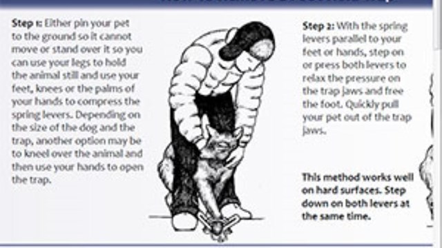 Image of an informational pamphlet with lots of writing and a drawn figure opening an animal trap.