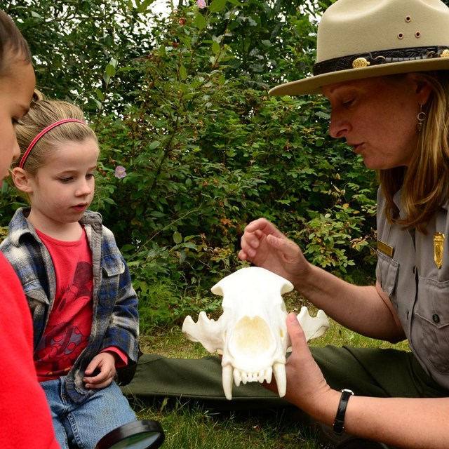 Students and a park ranger examine a skull. 