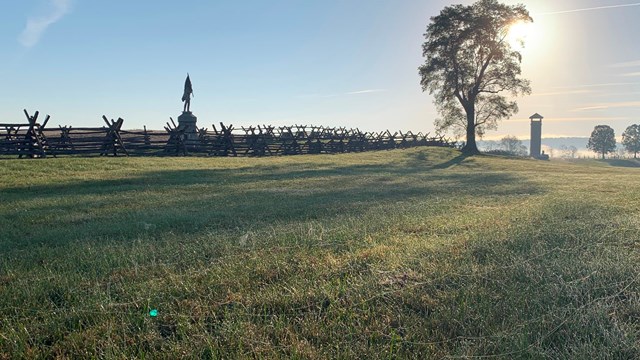 fences in field