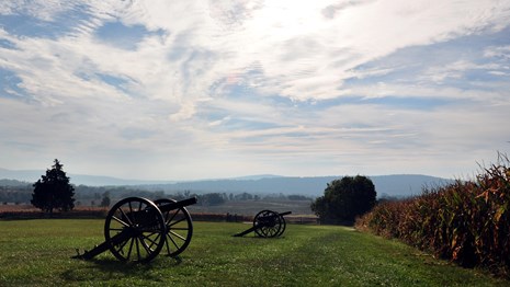 Cannon on the Battlefield