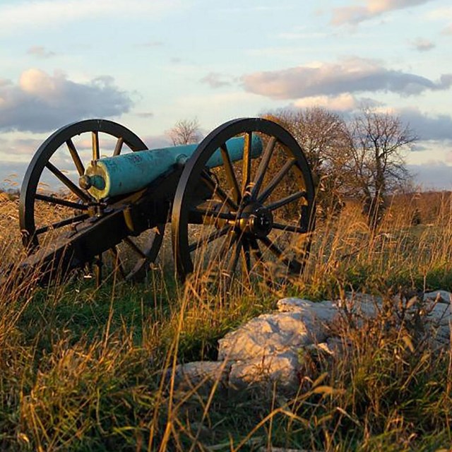 Cannon on Piper Farm