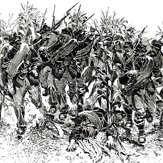 Soldiers in the Corn