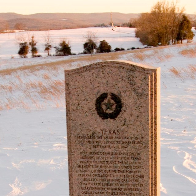 Image of the Texas Monument in snow