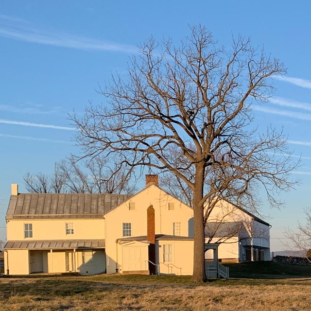 white farmhouse and other small structures