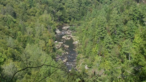 Obed Wild and Scenic River
