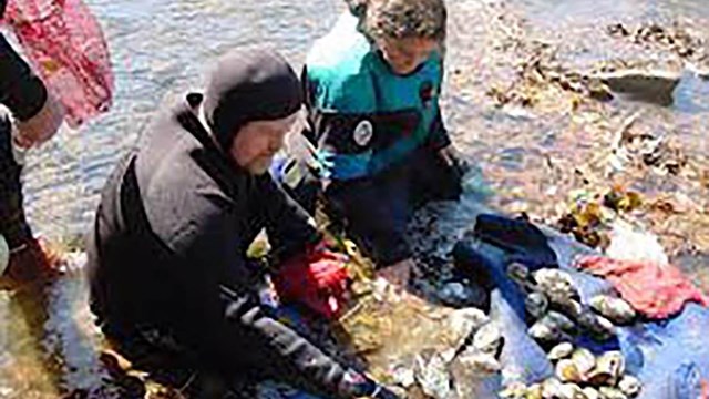 Checking out freshwater mussels in Big South Fork NRRA.