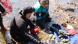Checking out freshwater mussels in Big South Fork NRRA.