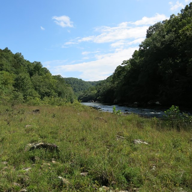 cobble bar monitoring site in Big South Fork National River and Recreation Area.