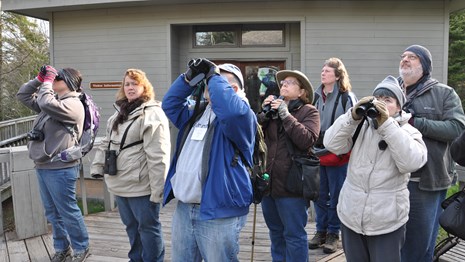 Group of people with binoculars all looking at something in the distance.