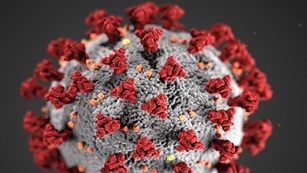 Icicles hang off of the lip of a frozen sand ledge. 