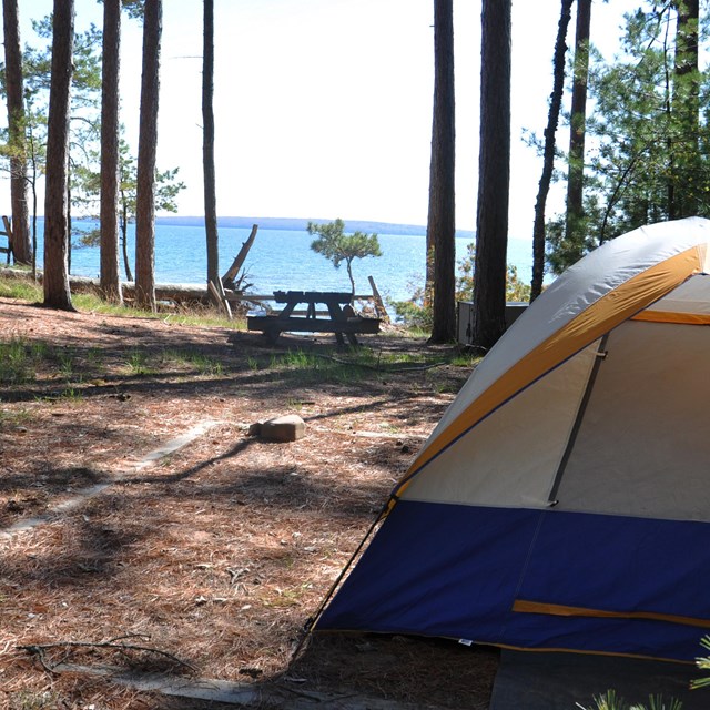 A tent is set up in a small clearing among tall trees. 