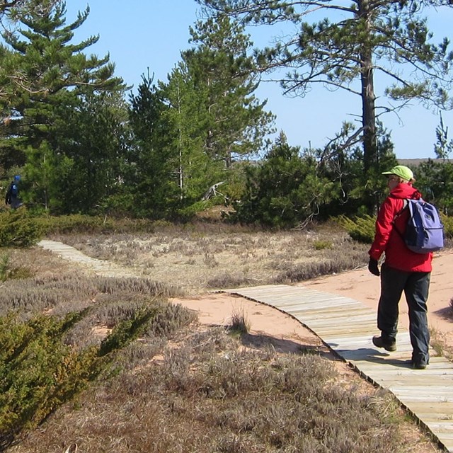 A hiker wearing a red jacket, walking on a boardwalk across a sandy area into trees/