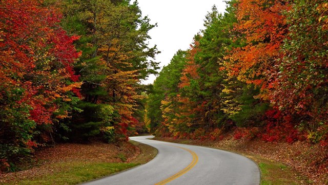 Blue Ridge Parkway 