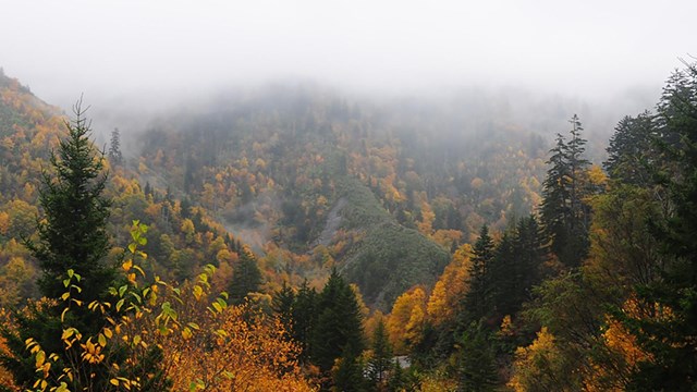 Great Smoky Mountains National Park 