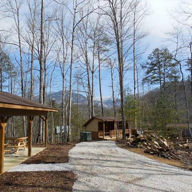 UT Biology Field Station 