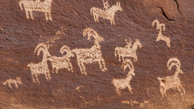 A reddish brown rock surface with images of bighorn sheep, horses, and people drawn on it. 