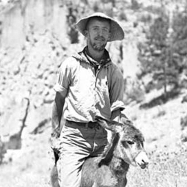 Jesse Nusbaum and donkey friend