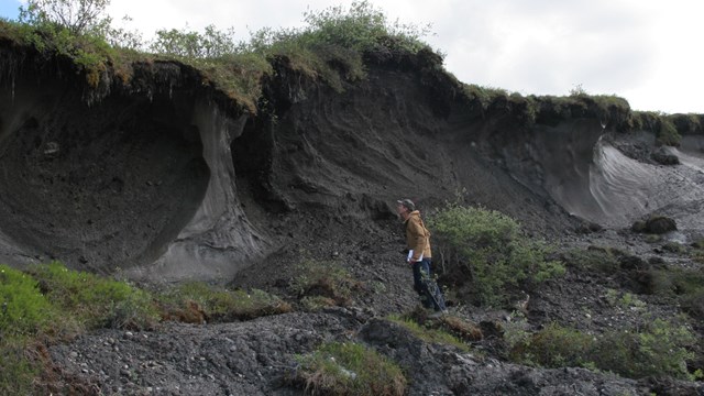 Landscape Ecologist inspects a permafrost thaw slump.