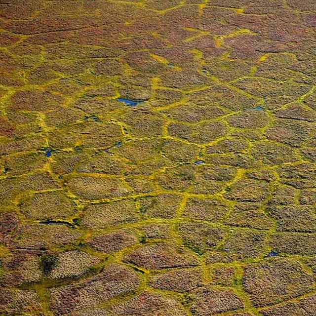 The polygonal patterns of melting permafrost.