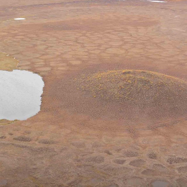 An Arctic landscape with permafrost tundra, pingo, and lake.