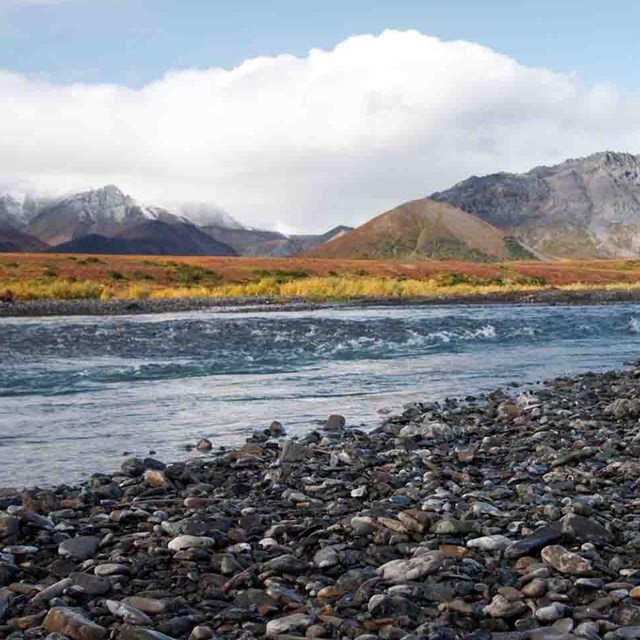 The Noatak River.