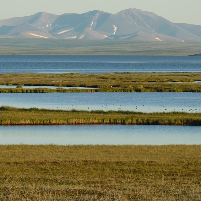 A video about monitoring Arctic lagoons.