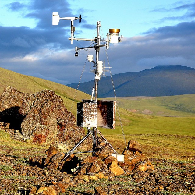 A video about how we measure phenology in Arctic parks.