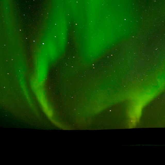 Northern lights dance across the tundra.