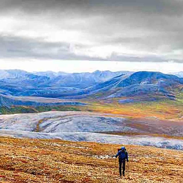 A painted Arctic landscape with a lone hiker.