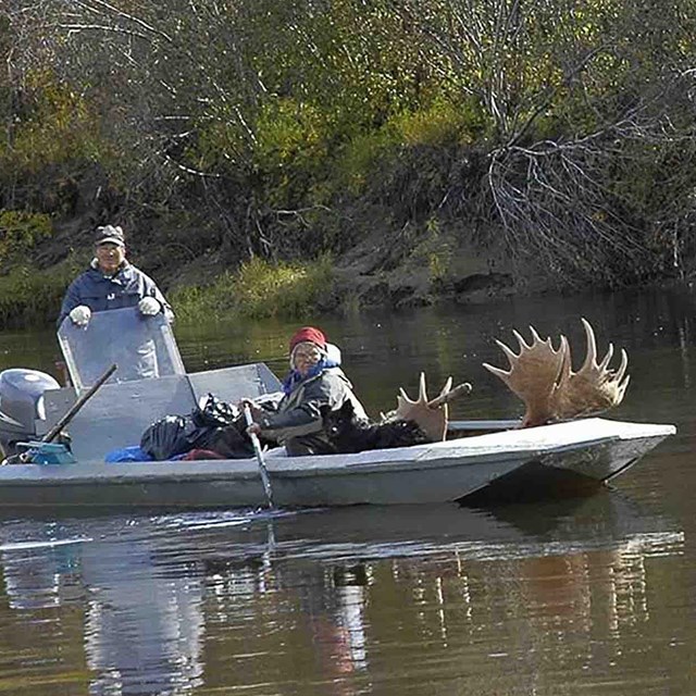 A boat brings in a harvested moose.