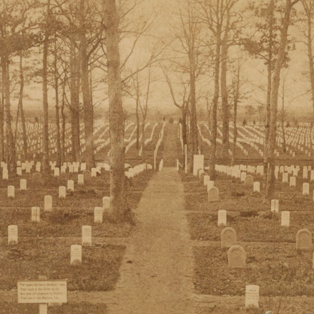 The Beginnings of Arlington National Cemetery