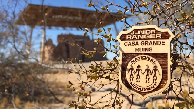 image of junior ranger wearing vest filled with junior ranger badges at Pipe Spring NM