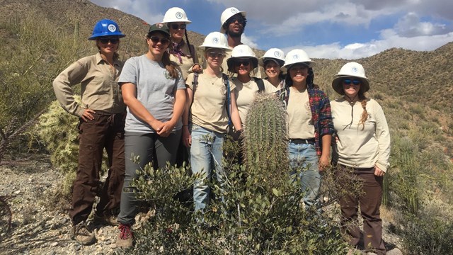 group of volunteers standing in front of cactus