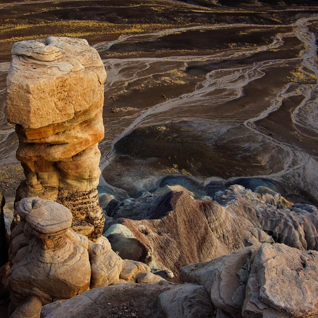 Sonsela Member overlooking Blue Mesa Member