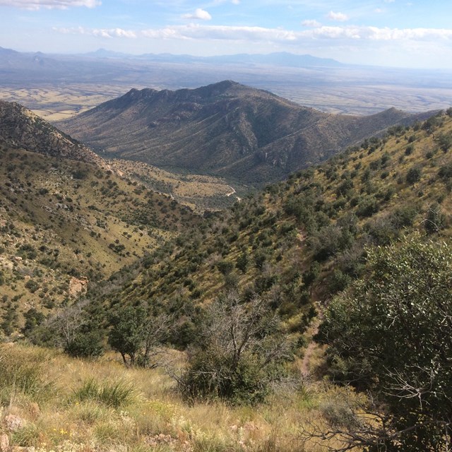 Aerial view of the Crest Trail (part of the Arizona National Scenic Trail)