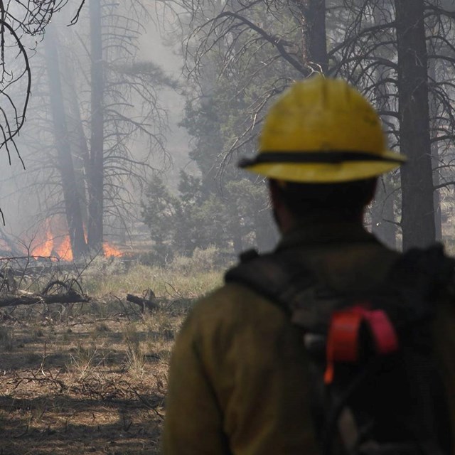 Fire fighter standing near smoke from the 2019 Woodbury Fire near Tonto NM