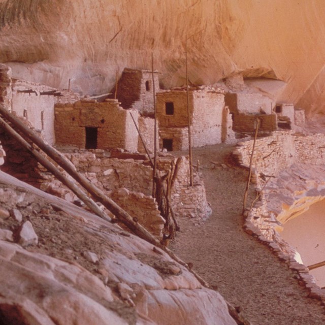 rocky path leading to shaded cliff dwelling