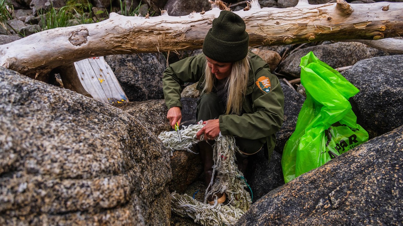 A park ranger cuts into tangled marine debris on the coast