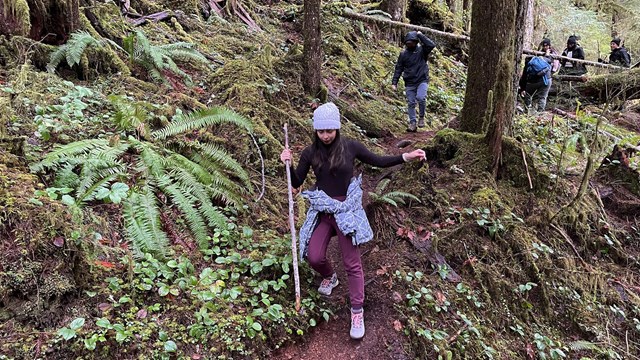 Hiker using a pole to descend a trail in the woods