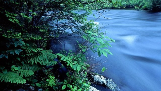 Water Quality